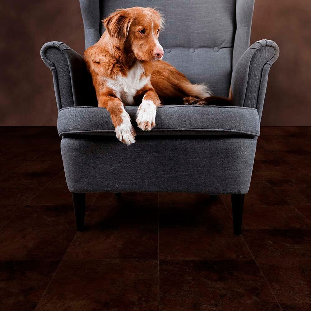 perfection-floor-natural-stone-sedona-slate-dog.jpg